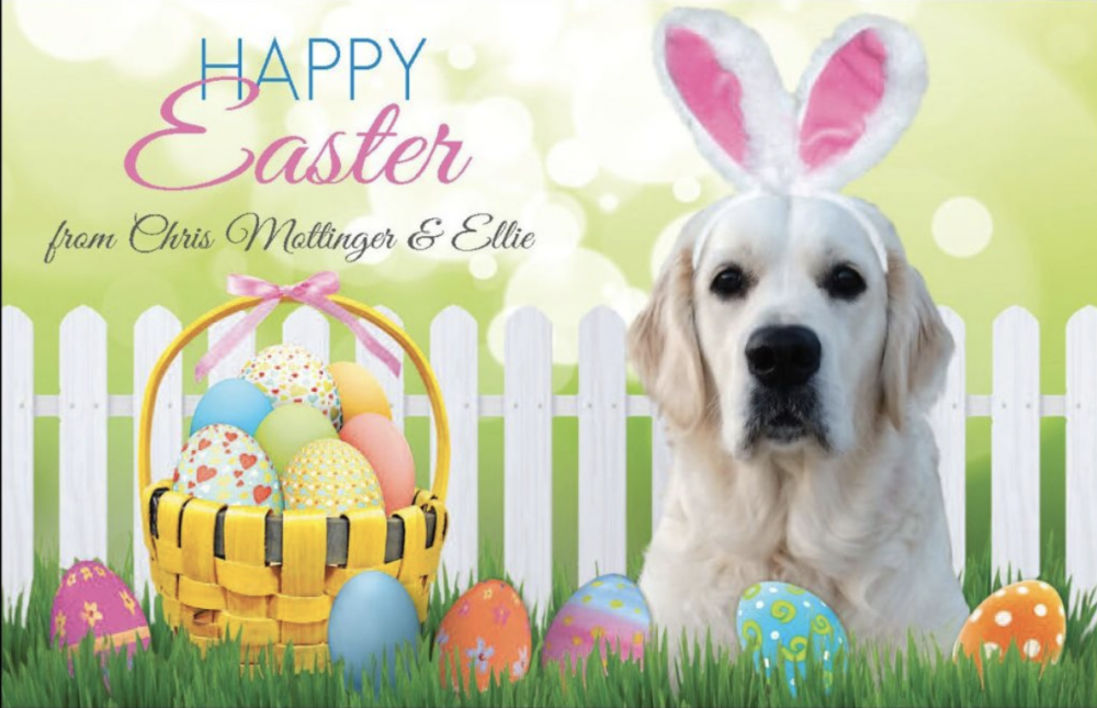 Screen Shot 2020-10-22 at 9.28.46 PM