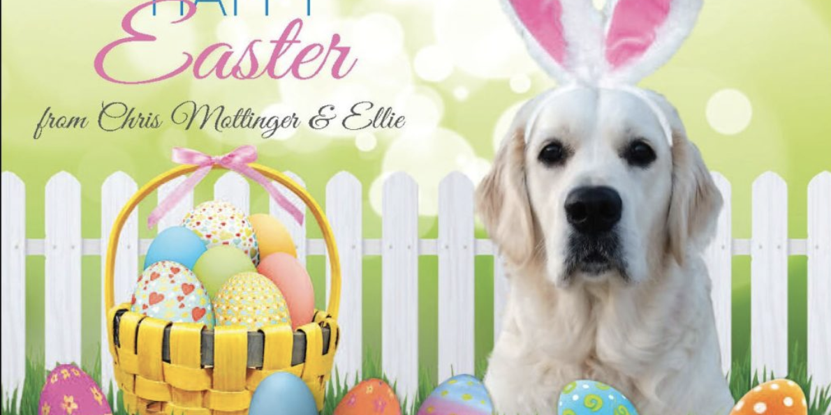 Screen Shot 2020-10-22 at 9.28.46 PM