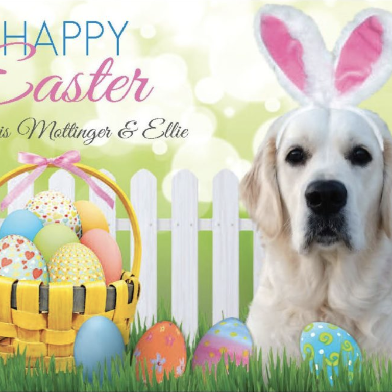 Screen Shot 2020-10-22 at 9.28.46 PM