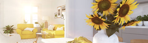 COVER-ONLINE-AdobeStock_217343806